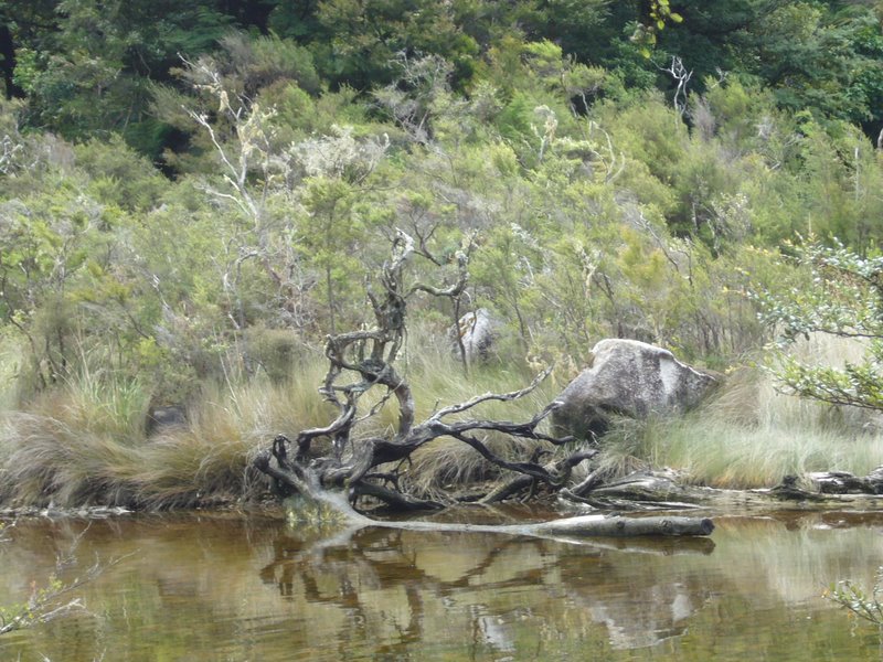 Travel - New Zealand - Abel Tasman National Park